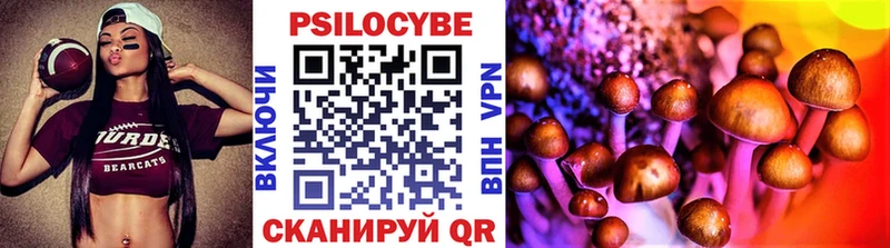 где можно купить наркотик  Шахты  Псилоцибиновые грибы прущие грибы 