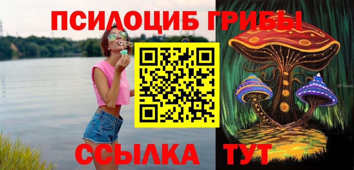 Галлюциногенные грибы Cubensis  Вход с VPN  что такое   Галлюциногенные грибы мицелий  Шахты 