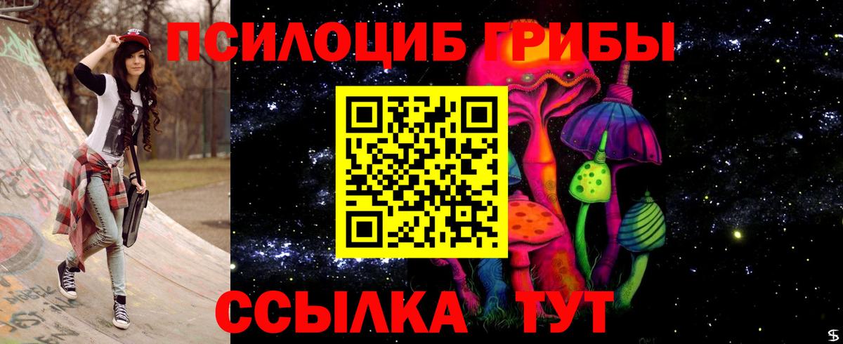 Галлюциногенные грибы Psilocybe Шахты